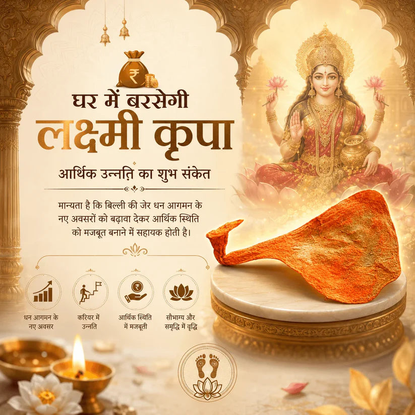 Energized Mantra Siddhi Billi ki Jer